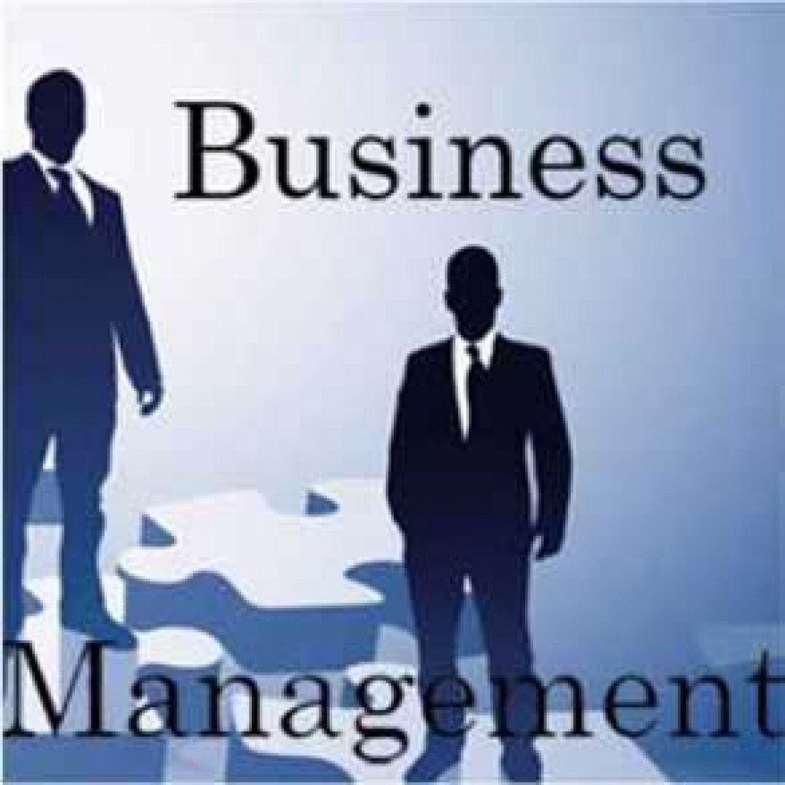 Business Management / Profession / Leadership