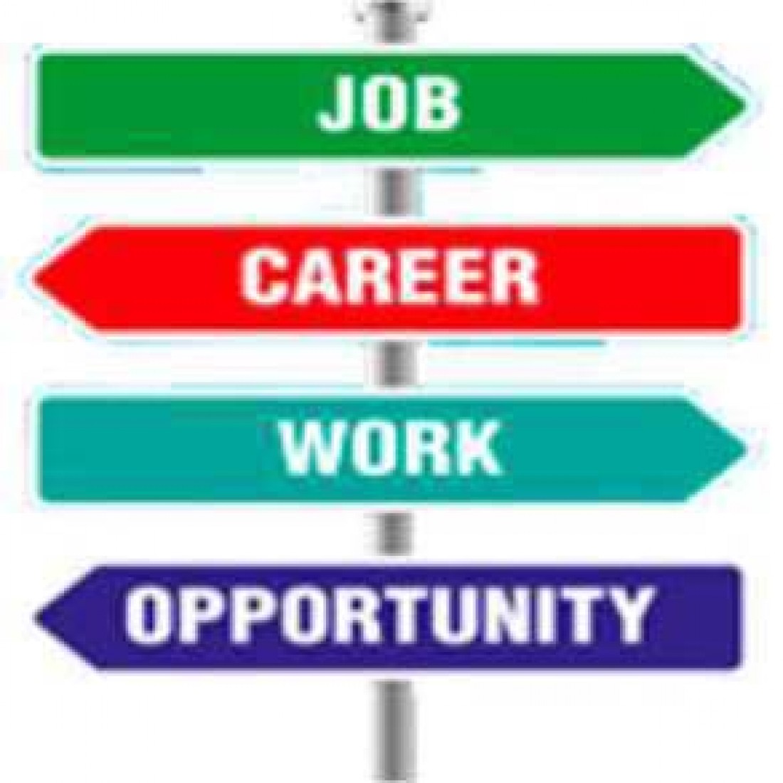 Job / Career