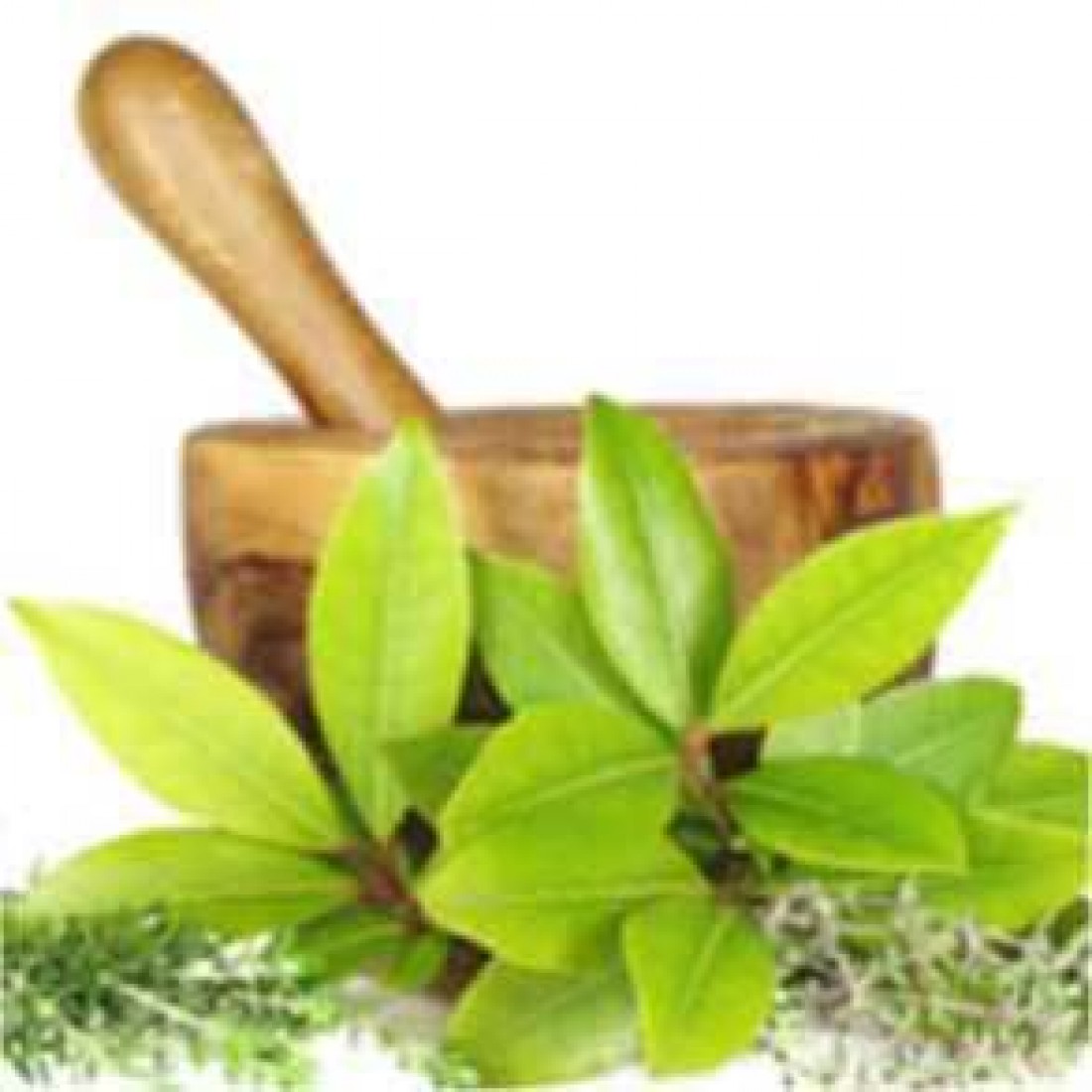 Ayurveda & Naturopathy